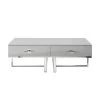 Maui 48 in. Light Gray/Chrome Large Rectangle Wood Coffee Table with Drawers by Nicole Miller