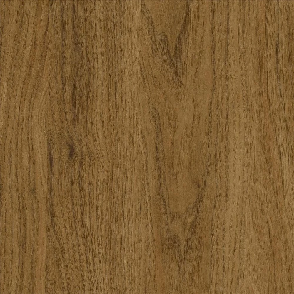 Regal 23.5 in. Walnut End Table with Magazine Rack by Novogratz 6 Regal 23.5 in. Walnut End Table with Magazine Rack by Novogratz - Image 6